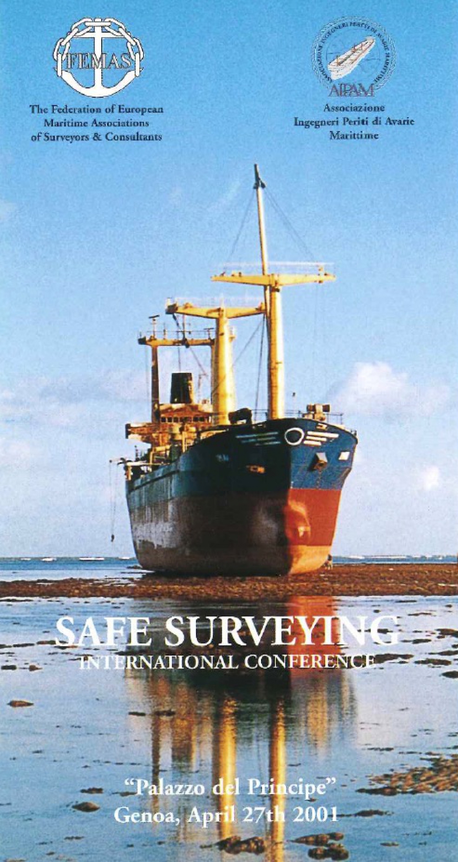 Safe Surveying - Enrico De Vincentiis