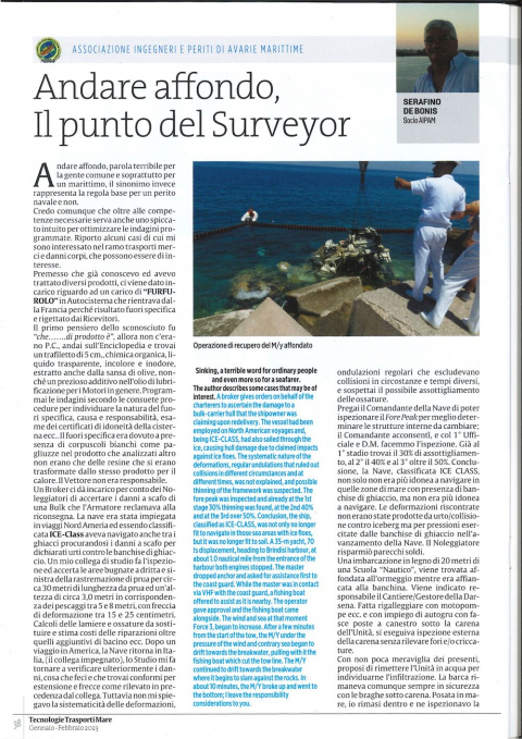 Andare affondo, Il punto del Surveyor