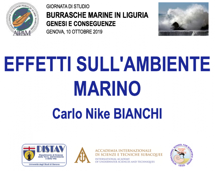 Effetti sull’ambiente marino